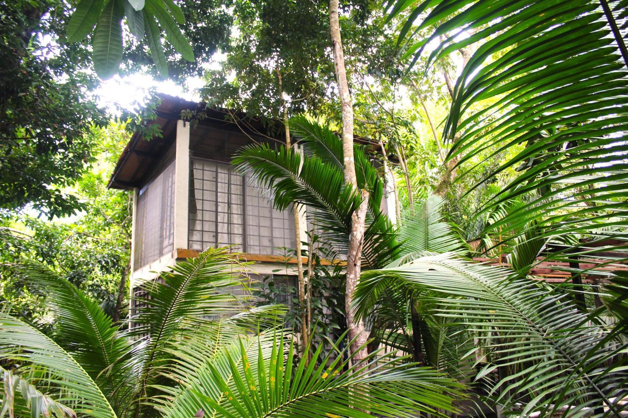 Refugio Do Sagrado Morere