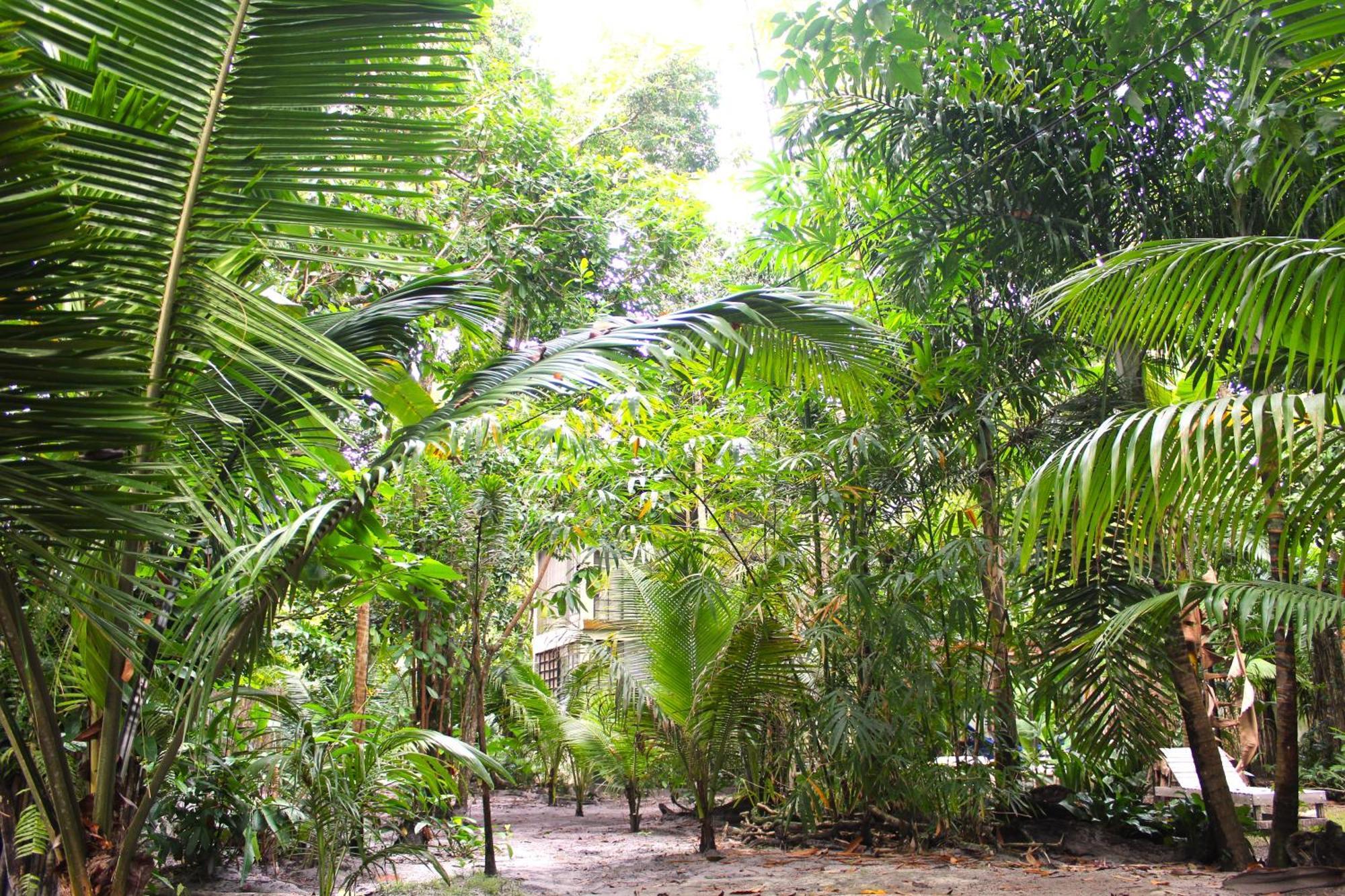 度假居 Refugio Do Sagrado *