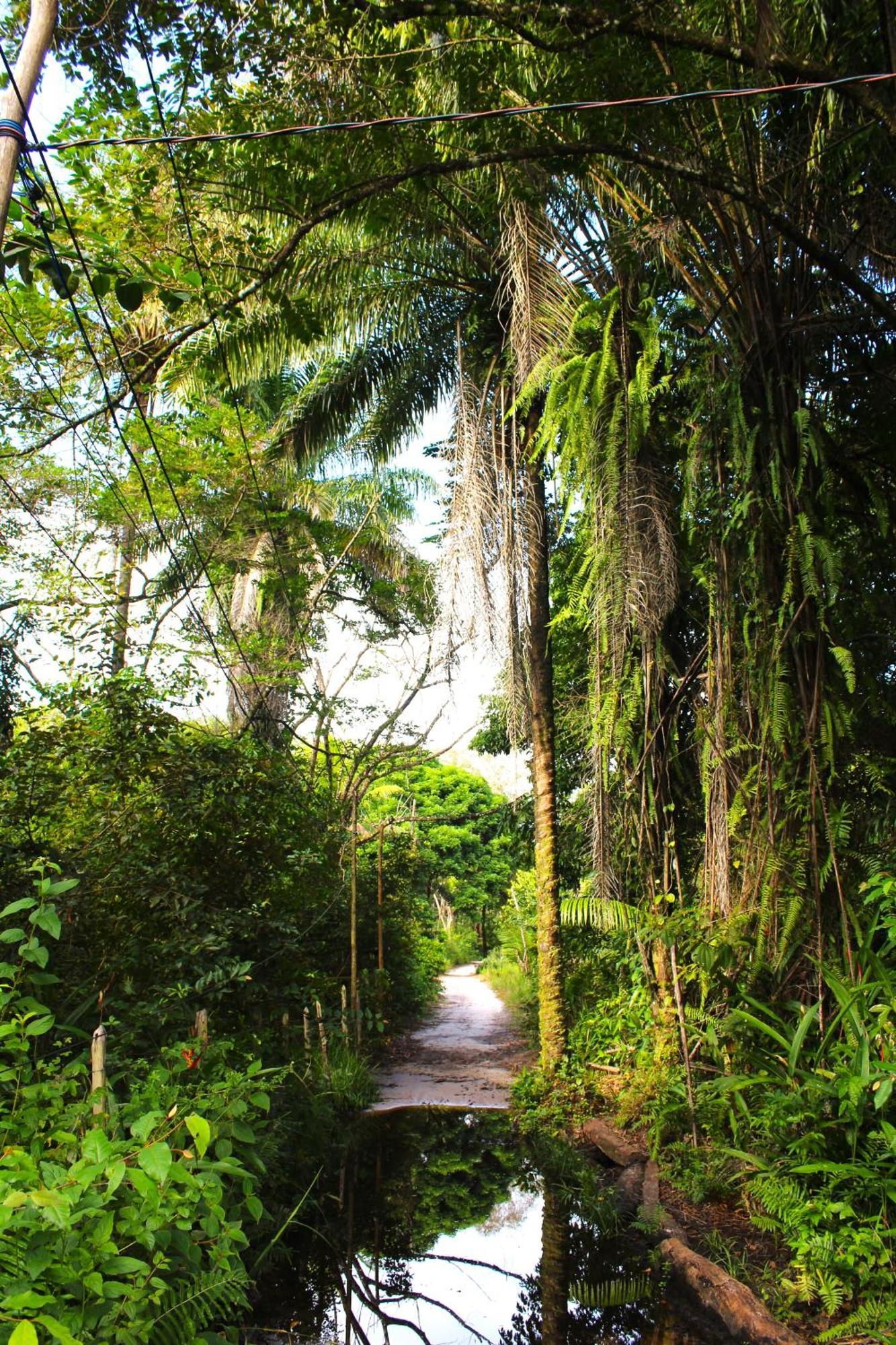 Refugio Do Sagrado Morere